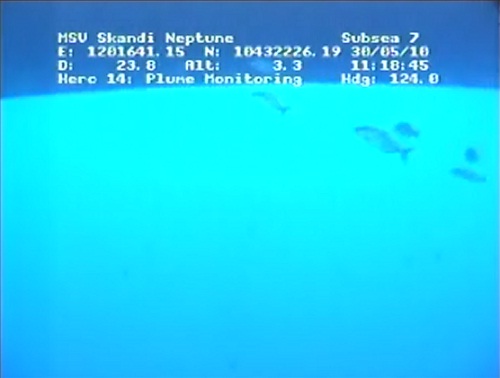 Real time live video feed of BP Gulf of Mexico oil spill