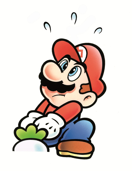 1989 Super Mario Bros 2