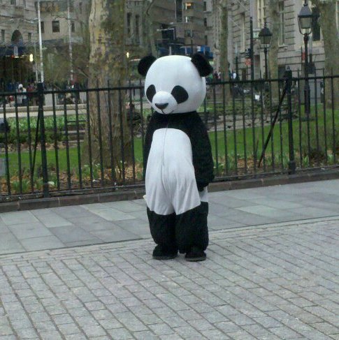 Asus Panda Asus Panda